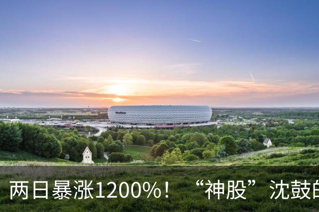 两日暴涨1200%！“神股”沈鼓的惊天逆袭