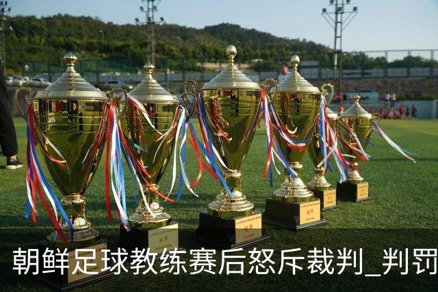 朝鲜足球教练赛后怒斥裁判 判罚引发激烈争议